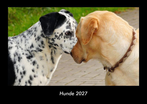 Hunde 2027 Fotokalender DIN A3