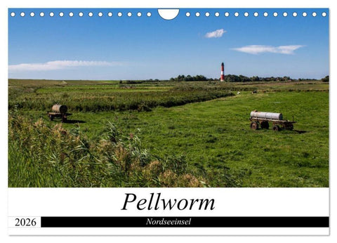 Nordseeinsel Pellworm 2026 (Wandkalender 2026 DIN A4 quer), CALVENDO Monatskalender
