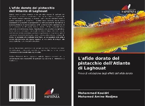 L'afide dorato del pistacchio dell'Atlante di Laghouat