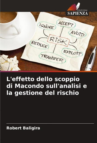 L'effetto dello scoppio di Macondo sull'analisi e la gestione del rischio
