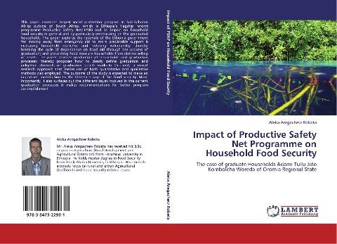 Impact of Productive Safety Net Programme on Household Food Security