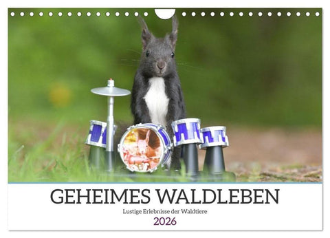 Geheimes Waldleben (Wandkalender 2026 DIN A4 quer), CALVENDO Monatskalender