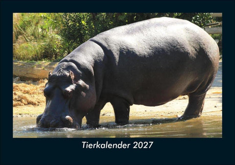 Tierkalender 2027 Fotokalender DIN A5