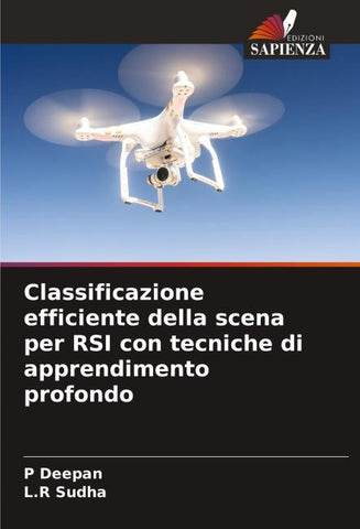 Classificazione efficiente della scena per RSI con tecniche di apprendimento profondo