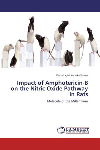 Impact of Amphotericin-B on the Nitric Oxide Pathway in Rats