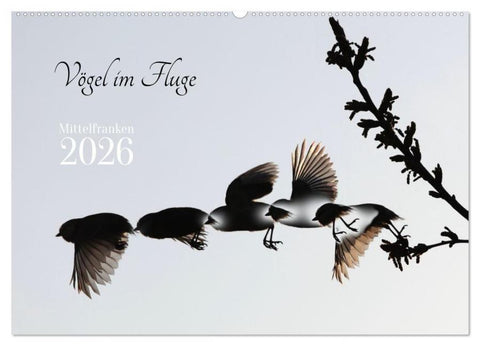 Vögel im Fluge (Wandkalender 2026 DIN A2 quer), CALVENDO Monatskalender