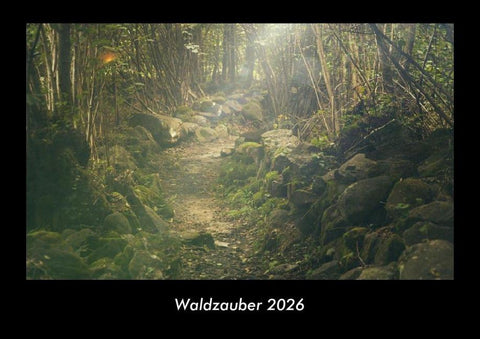 Waldzauber 2026 Fotokalender DIN A3