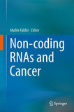 Non-coding RNAs and Cancer