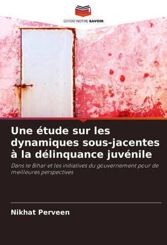 Une étude sur les dynamiques sous-jacentes à la délinquance juvénile