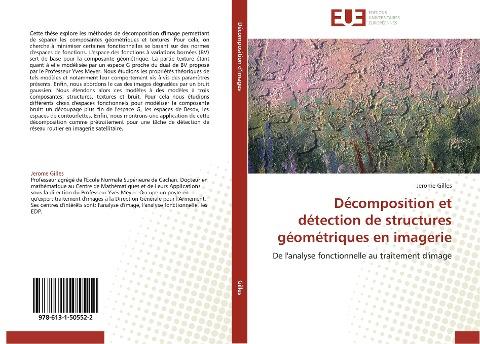 Décomposition et détection de structures géométriques en imagerie