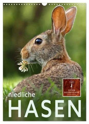 Niedliche Hasen (Wandkalender 2026 DIN A3 hoch), CALVENDO Monatskalender