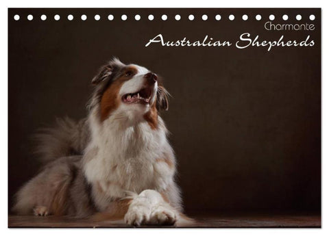 Charmante Australian Shepherds (Tischkalender 2026 DIN A5 quer), CALVENDO Monatskalender