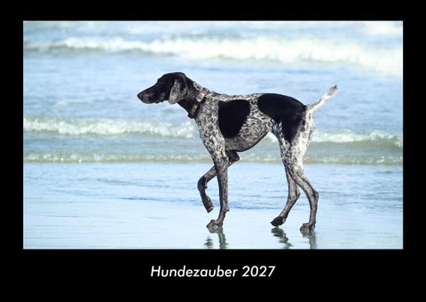 Hundezauber 2027 Fotokalender DIN A3