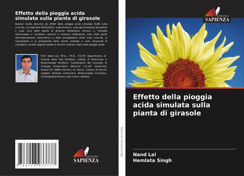 Effetto della pioggia acida simulata sulla pianta di girasole