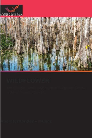 WILDFLOWER