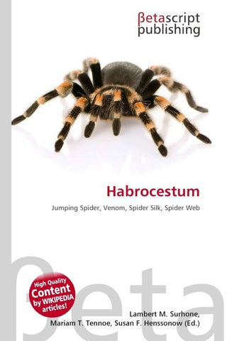 Habrocestum