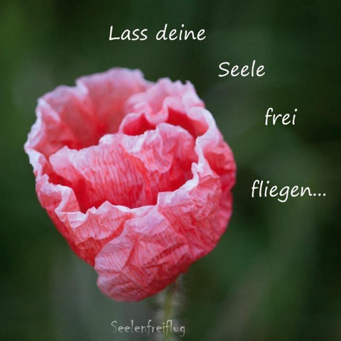 Lass deine Seele frei fliegen