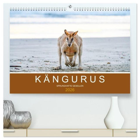 Kängurus, sprunghafte Gesellen (hochwertiger Premium Wandkalender 2026 DIN A2 quer), Kunstdruck in Hochglanz