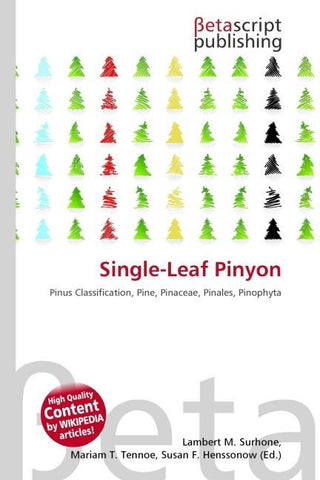 Single-Leaf Pinyon