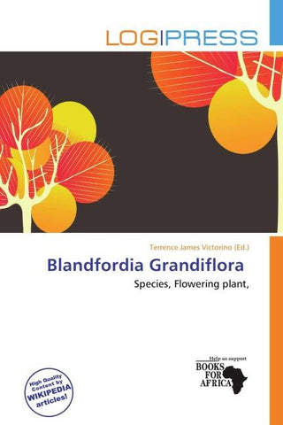 Blandfordia Grandiflora