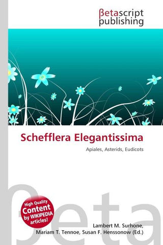 Schefflera Elegantissima