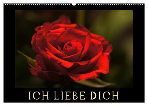 Ich liebe Dich (Wandkalender 2026 DIN A2 quer), CALVENDO Monatskalender