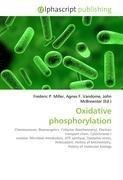 Oxidative phosphorylation