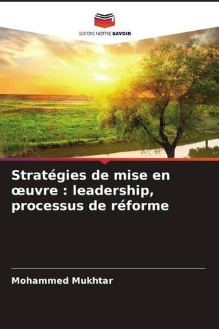 Stratégies de mise en ¿uvre : leadership, processus de réforme