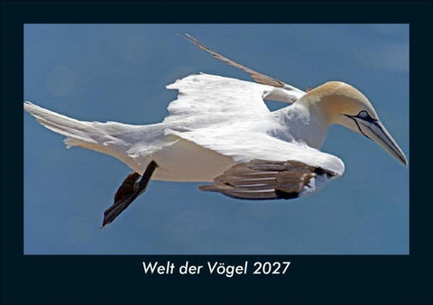 Welt der Vögel 2027 Fotokalender DIN A5