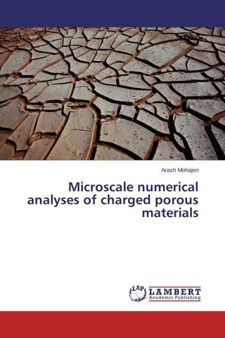Microscale numerical analyses of charged porous materials