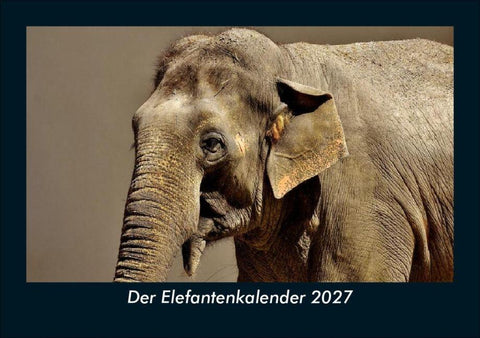 Der Elefantenkalender 2027 Fotokalender DIN A5