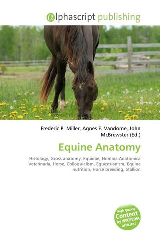 Equine Anatomy