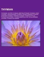 Thymian
