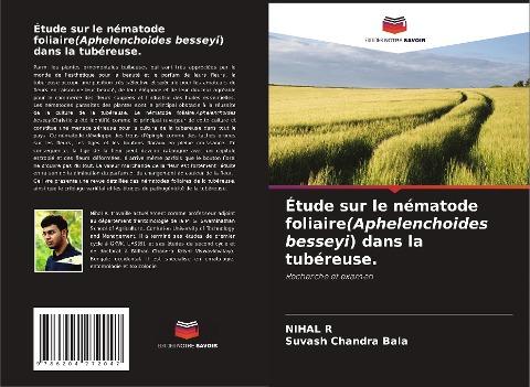 Étude sur le nématode foliaire(Aphelenchoides besseyi) dans la tubéreuse.