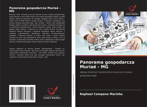 Panorama gospodarcza Muriaé - MG