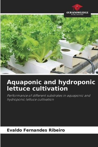 Aquaponic and hydroponic lettuce cultivation