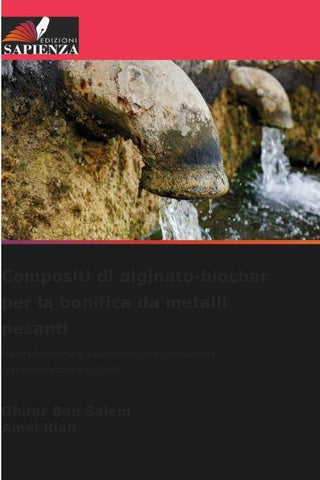 Compositi di alginato-biochar per la bonifica da metalli pesanti