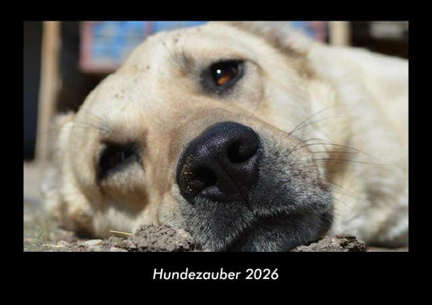 Hundezauber 2026 Fotokalender DIN A3