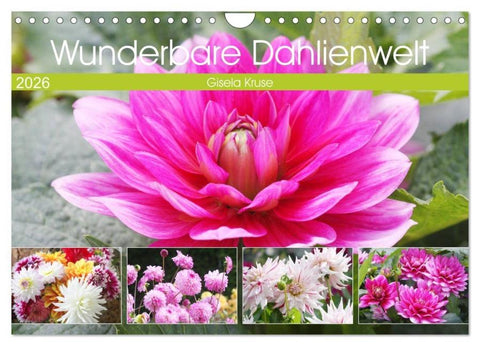 Wunderbare Dahlienwelt (Wandkalender 2026 DIN A4 quer), CALVENDO Monatskalender
