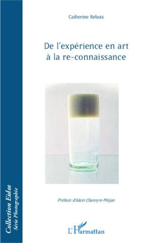 De l'expérience en art à la re-connaissance