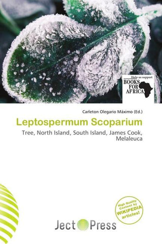 Leptospermum Scoparium