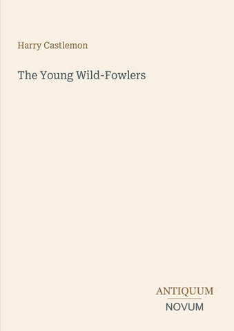 The Young Wild-Fowlers