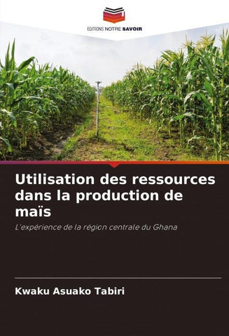 Utilisation des ressources dans la production de maïs