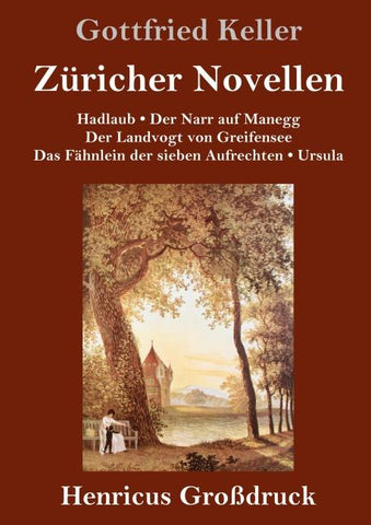 Züricher Novellen (Großdruck)