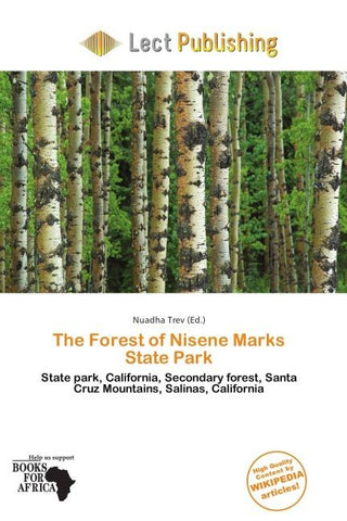 The Forest of Nisene Marks State Park