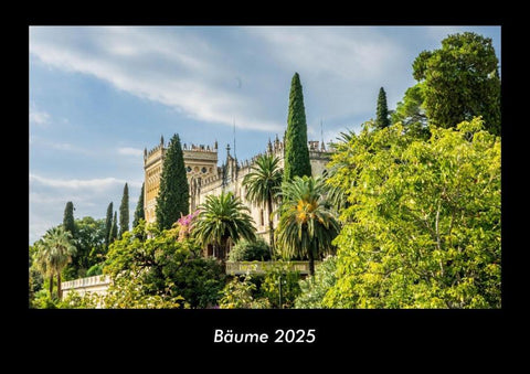 Bäume 2025 Fotokalender DIN A3