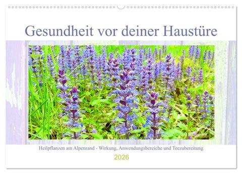 Gesundheit vor deiner Haustüre - Heilpflanzen am Alpenrand - Wirkung, Anwendungsbereiche und Teezubereitung (Wandkalender 2026 DIN A2 quer), CALVENDO Monatskalender
