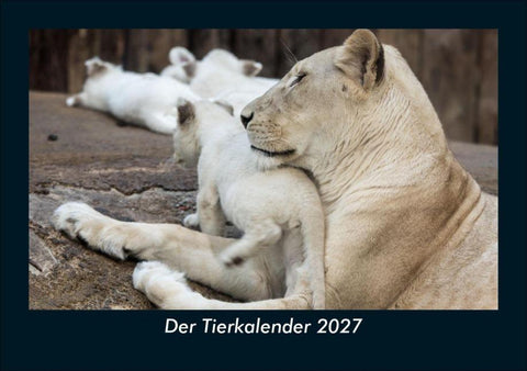 Der Tierkalender 2027 Fotokalender DIN A5
