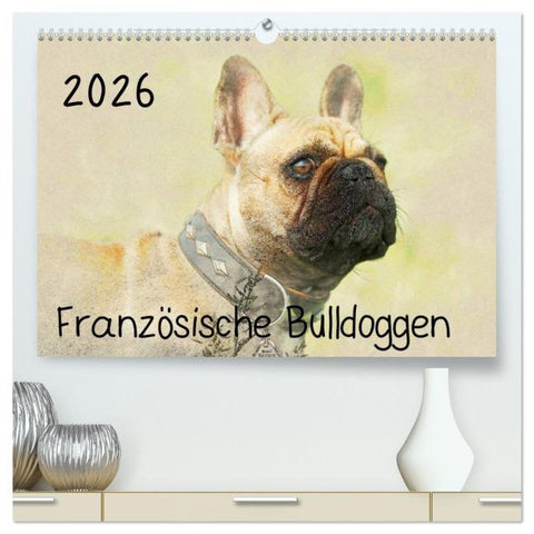 Französische Bulldoggen 2026 (hochwertiger Premium Wandkalender 2026 DIN A2 quer), Kunstdruck in Hochglanz