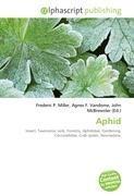 Aphid